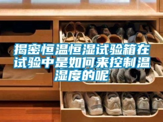 知識百科揭密恒溫恒濕試驗箱在試驗中是如何來控製溫濕度的呢