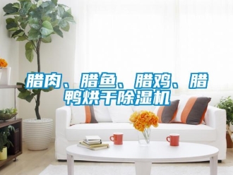 行業手机看片AV短片臘肉、臘魚、臘雞、臘鴨烘幹91看片在线下载機