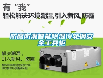 常見問題防腐防潮智能91看片在线下载冷軋鋼安全工具櫃