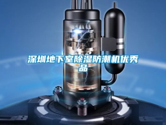 行業手机看片AV短片深圳地下室91看片在线下载防潮機優秀品