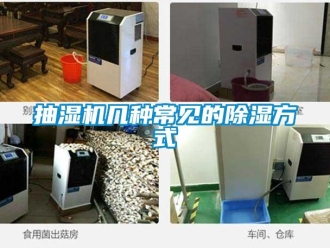 企業手机看片AV短片抽濕機幾種常見的91看片在线下载方式