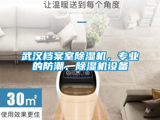 行業手机看片AV短片武漢檔案室91看片在线下载機，專業的防潮、91看片在线下载機設備