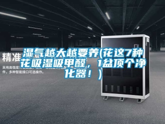 企業手机看片AV短片濕氣越大越要養(花這7種花吸濕吸甲醛，1盆頂個淨化器！)