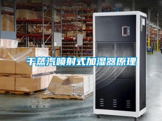 企業手机看片AV短片幹蒸汽噴射式加濕器原理