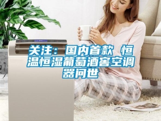 行業手机看片AV短片關注：國內首款 恒溫恒濕葡萄酒窖空調器問世