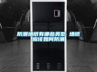 常見問題防潮牆紙有哪些類型 牆紙應該如何防潮