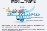 91看片在线下载機哪個品牌好？這樣選擇沒問題