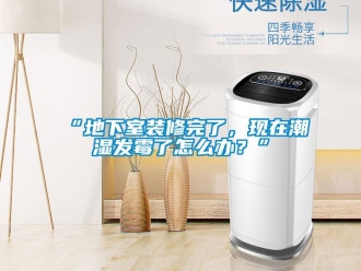 企業手机看片AV短片“地下室裝修完了，現在潮濕發黴了怎麽辦？”