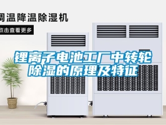 常見問題鋰離子電池工廠中轉輪91看片在线下载的原理及特征