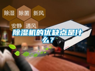 企業手机看片AV短片91看片在线下载機的優缺點是什麽？
