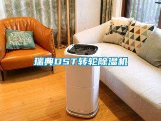 常見問題瑞典DST轉輪91看片在线下载機