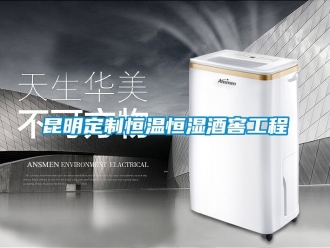 知識百科昆明定製恒溫恒濕酒窖工程