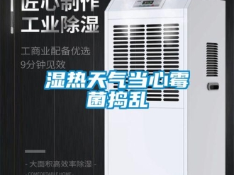 知識百科濕熱天氣當心黴菌搗亂