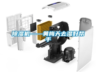 行業手机看片AV短片91看片在线下载機——黃梅天去濕好幫手
