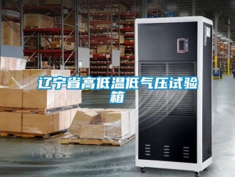 常見問題遼寧省高低溫低氣壓試驗箱