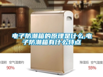 常見問題電子防潮箱的原理是什麽,電子防潮箱有什麽特點