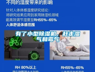 行業手机看片AV短片有了小型91看片在线下载機，趕走濕氣和黴氣