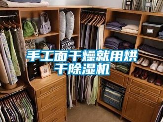 知識百科手工麵幹燥就用烘幹91看片在线下载機
