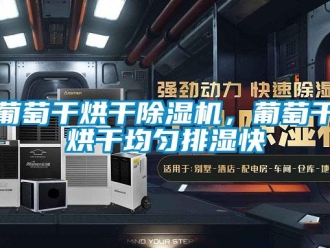行業手机看片AV短片葡萄幹烘幹91看片在线下载機，葡萄幹烘幹均勻排濕快
