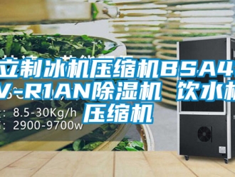 行業手机看片AV短片海立製冰機壓縮機BSA418CV-R1AN91看片在线下载機 飲水機 壓縮機