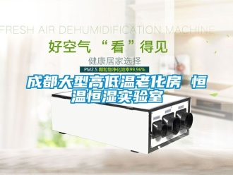 知識百科成都大型高低溫老化房 恒溫恒濕實驗室
