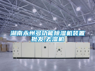 行業手机看片AV短片湖南永州多功能91看片在线下载機裝置批發,去濕機