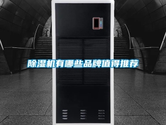 企業手机看片AV短片91看片在线下载機有哪些品牌值得推薦