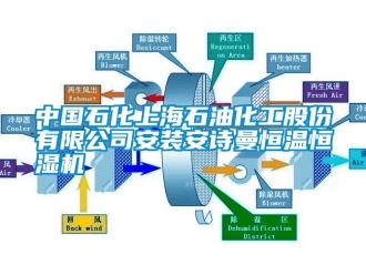 企業手机看片AV短片中國石化上海石油化工股份有限公司安裝91免费看片APP恒溫恒濕機