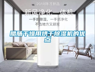 行業手机看片AV短片臘腸幹燥用烘幹91看片在线下载機的優點