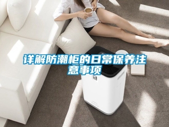 常見問題詳解防潮櫃的日常保養注意事項
