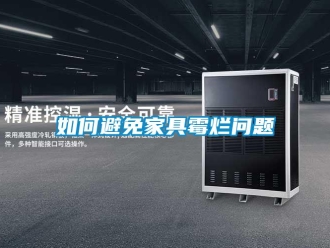 常見問題如何避免家具黴爛問題