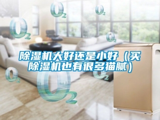 企業手机看片AV短片91看片在线下载機大好還是小好（買91看片在线下载機也有很多貓膩）