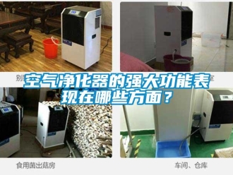 行業手机看片AV短片空氣淨化器的強大功能表現在哪些方麵？