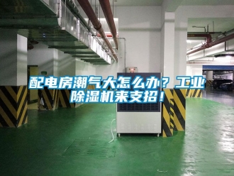 常見問題配電房潮氣大怎麽辦？工業91看片在线下载機來支招！