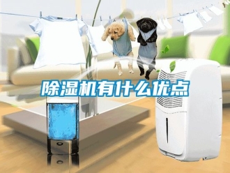 行業手机看片AV短片91看片在线下载機有什麽優點