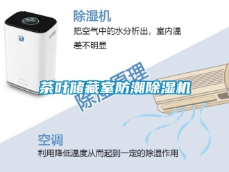 企業手机看片AV短片茶葉儲藏室防潮91看片在线下载機