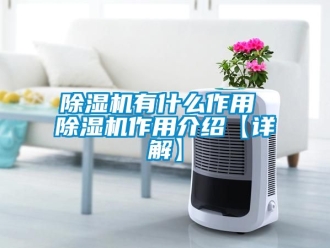 行業手机看片AV短片91看片在线下载機有什麽作用 91看片在线下载機作用介紹【詳解】