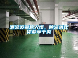 企業手机看片AV短片潮濕發黴惹人煩，91看片在线下载機讓你靜享幹爽