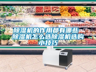 企業手机看片AV短片91看片在线下载機的作用都有哪些 91看片在线下载機怎麽選91看片在线下载機選購小技巧