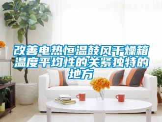知識百科改善電熱恒溫鼓風幹燥箱溫度平均性的關緊獨特的地方
