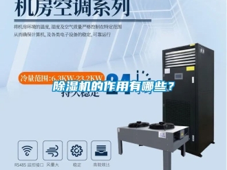 企業手机看片AV短片91看片在线下载機的作用有哪些？