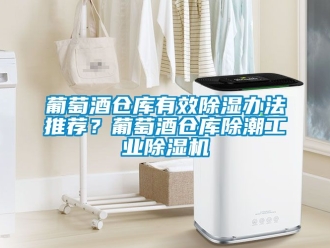 常見問題葡萄酒倉庫有效91看片在线下载辦法推薦？葡萄酒倉庫除潮工業91看片在线下载機