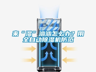 常見問題來“濕”洶洶怎麽辦？用全自動91看片在线下载機防範