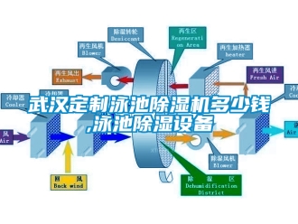 行業手机看片AV短片武漢定製泳池91看片在线下载機多少錢,泳池91看片在线下载設備