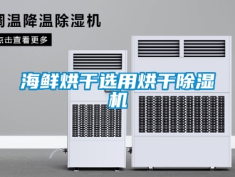 行業手机看片AV短片海鮮烘幹選用烘幹91看片在线下载機