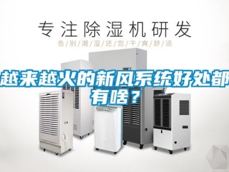 企業手机看片AV短片越來越火的新風係統好處都有啥？