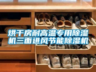 行業手机看片AV短片烘幹房耐高溫專用91看片在线下载機三麵進風節能91看片在线下载機