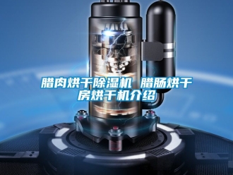 行業手机看片AV短片臘肉烘幹91看片在线下载機 臘腸烘幹房烘幹機介紹