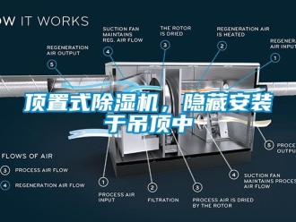 行業手机看片AV短片頂置式91看片在线下载機，隱藏安裝於吊頂中