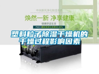 知識百科塑料粒子91看片在线下载幹燥機的幹燥過程影響因素